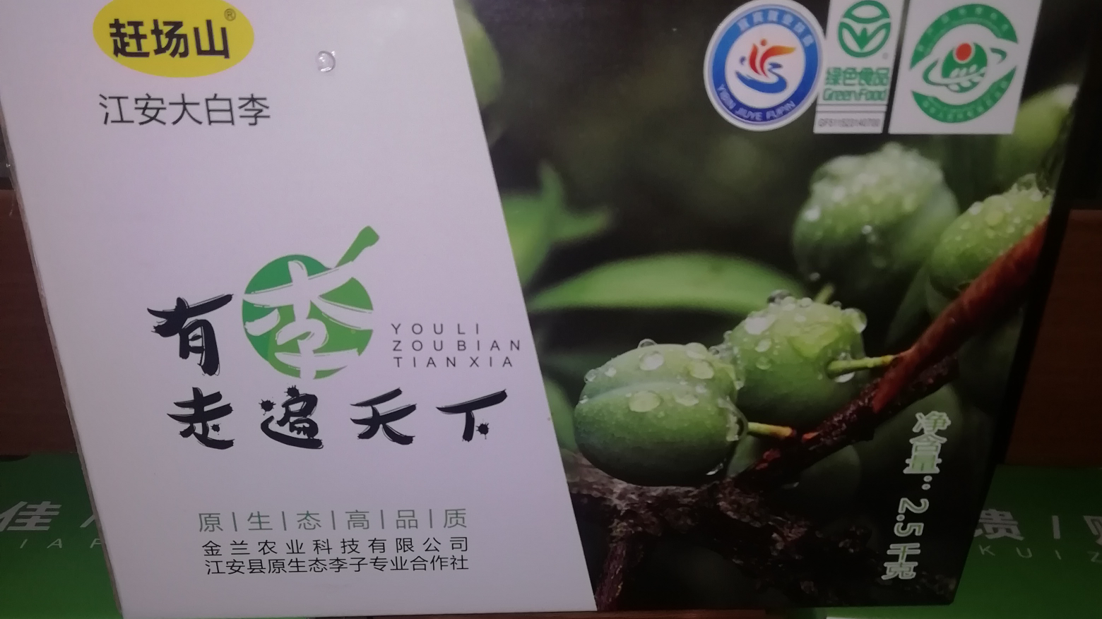又来了~玛瑙湖红枫景区虚拟偶像。